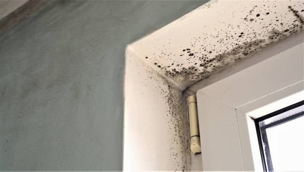 Best Indoor Air Quality Assessment  in Moenkopi, AZ